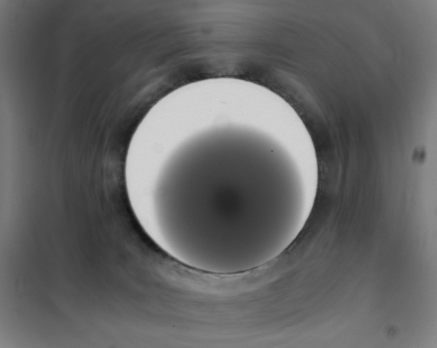 X0000101390035200808041028