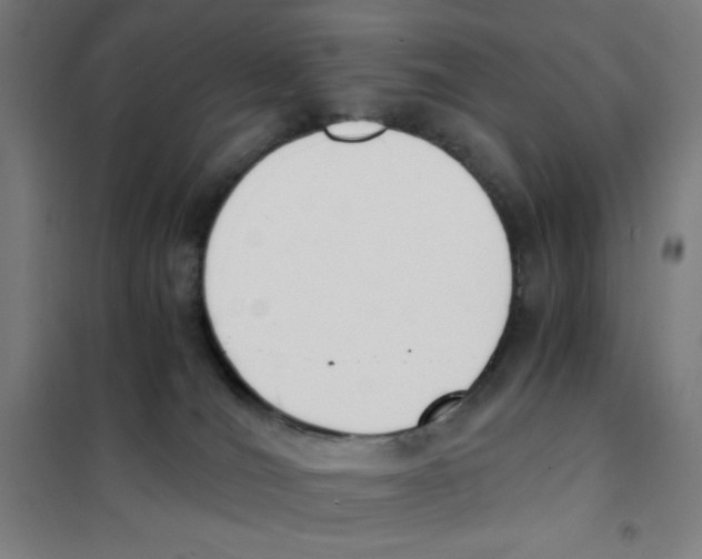 X0000101390036200808041028
