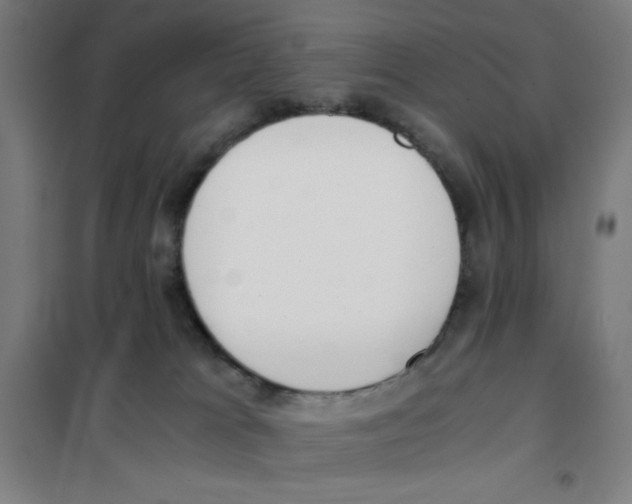 X0000101390037200808041028