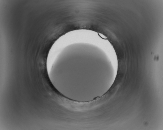 X0000101390039200808041027