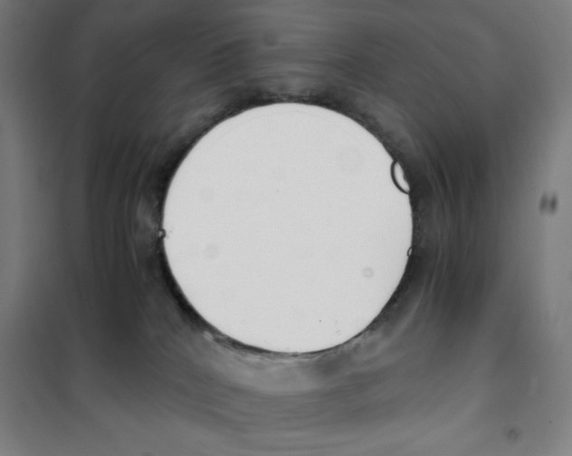 X0000101390040200808041027