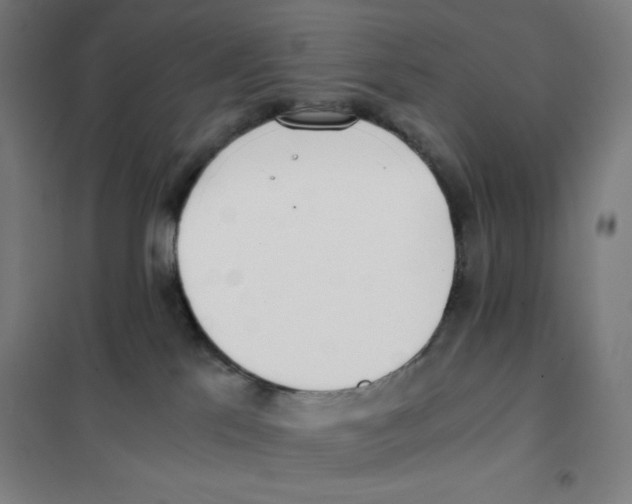 X0000101390041200808041027