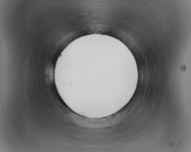 X0000101390042200808041027
