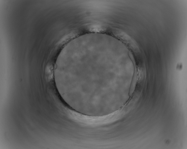 X0000101390043200808041027