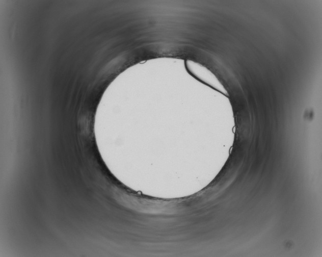 X0000101390044200808041027