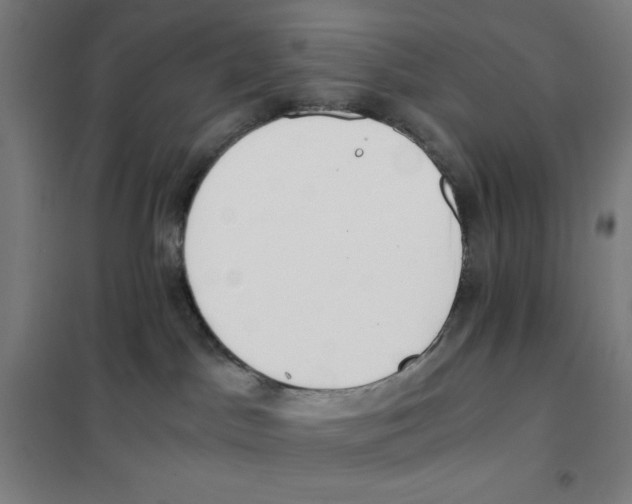 X0000101390045200808041027