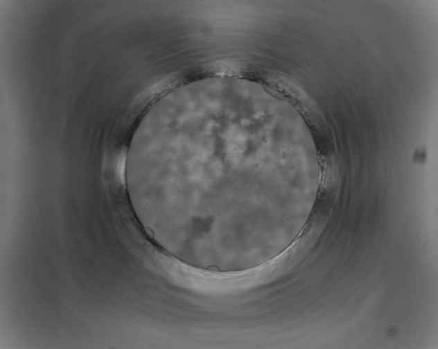 X0000101390047200808041027