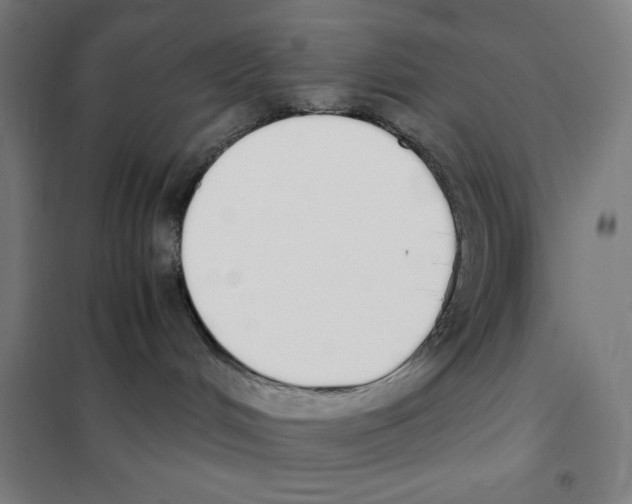 X0000101390048200808041027