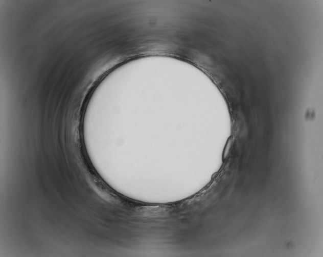 X0000101390050200808041027