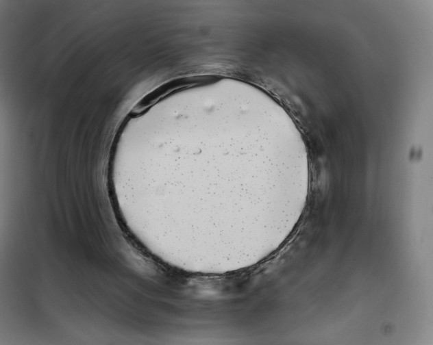 X0000101390051200808041027