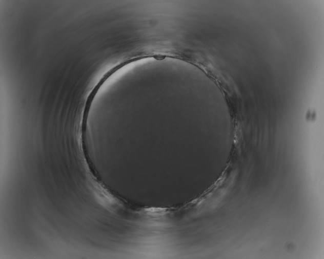 X0000101390052200808041027