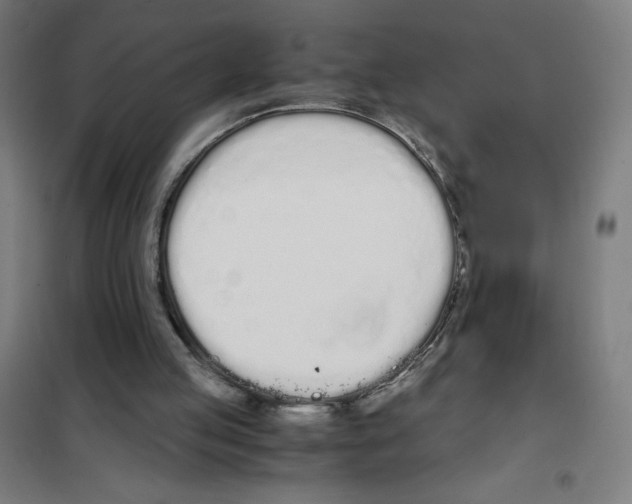 X0000101390053200808041027