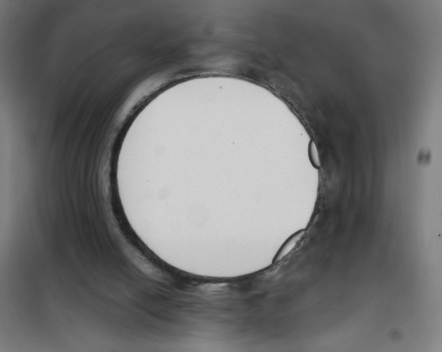 X0000101390054200808041027