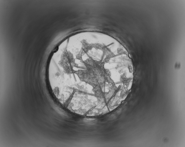 X0000101390055200808041027