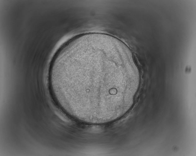 X0000101390056200808041027