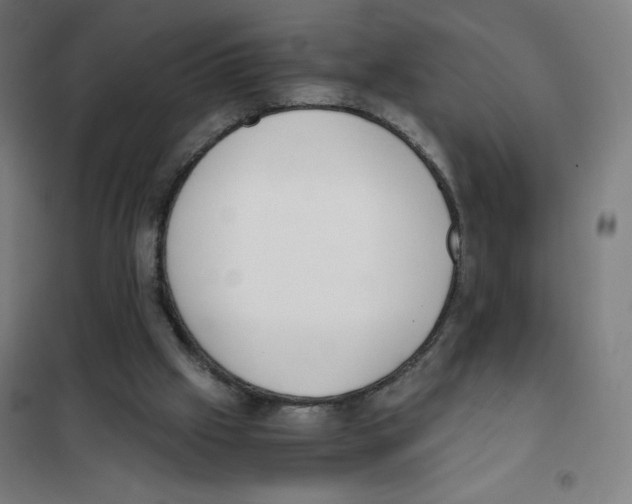 X0000101390057200808041027
