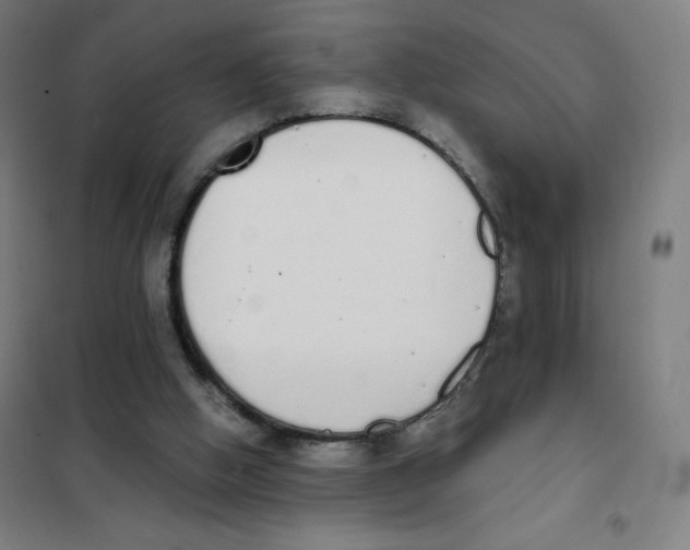 X0000101390058200808041027