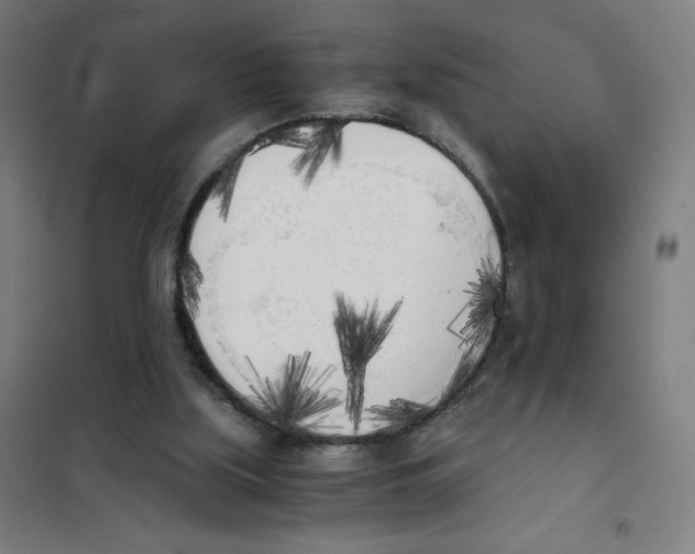 X0000101390059200808041027