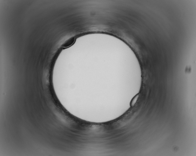 X0000101390060200808041027