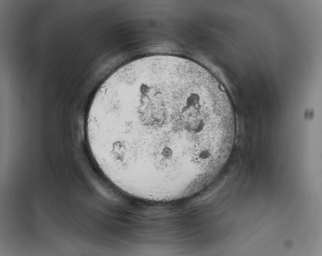 X0000101390061200808041027