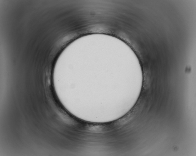X0000101390062200808041027