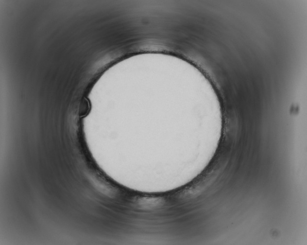 X0000101390063200808041027