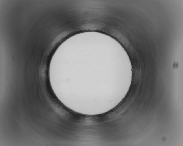X0000101390064200808041027