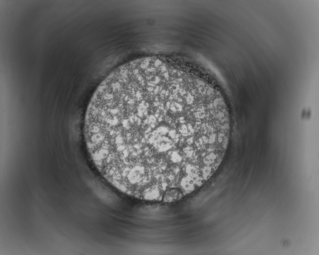 X0000101390065200808041027