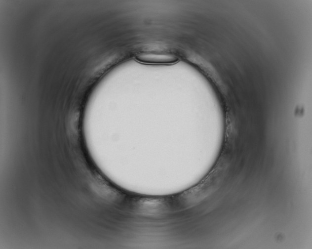 X0000101390066200808041027