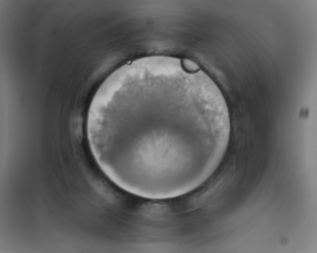 X0000101390067200808041027