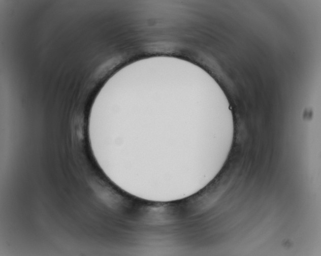 X0000101390068200808041027