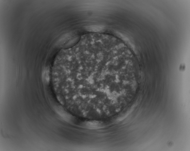 X0000101390069200808041027