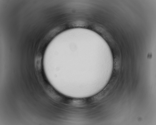 X0000101390070200808041027