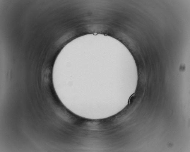 X0000101390071200808041027