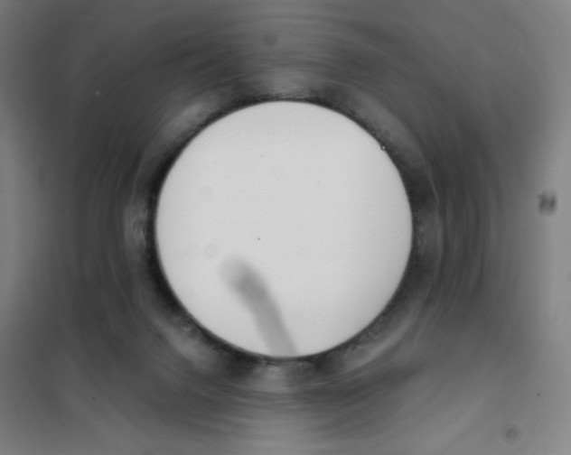X0000101390072200808041027
