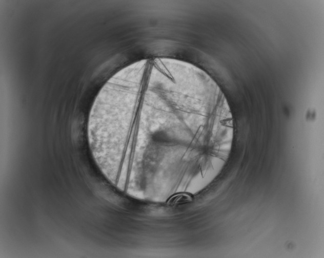 X0000101390073200808041027
