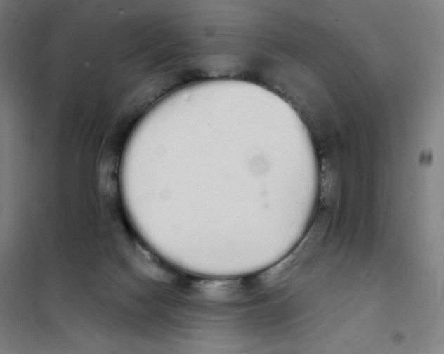 X0000101390074200808041027