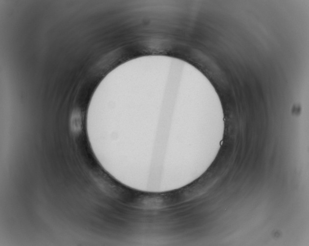 X0000101390075200808041027