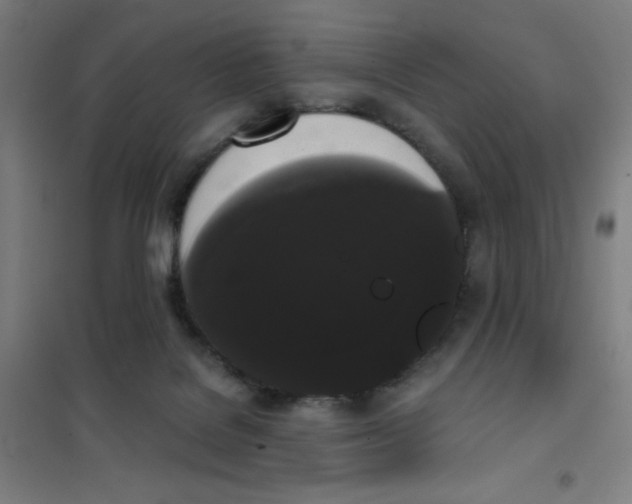 X0000101390076200808041027