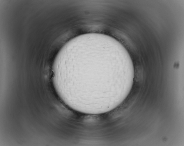 X0000101390077200808041027