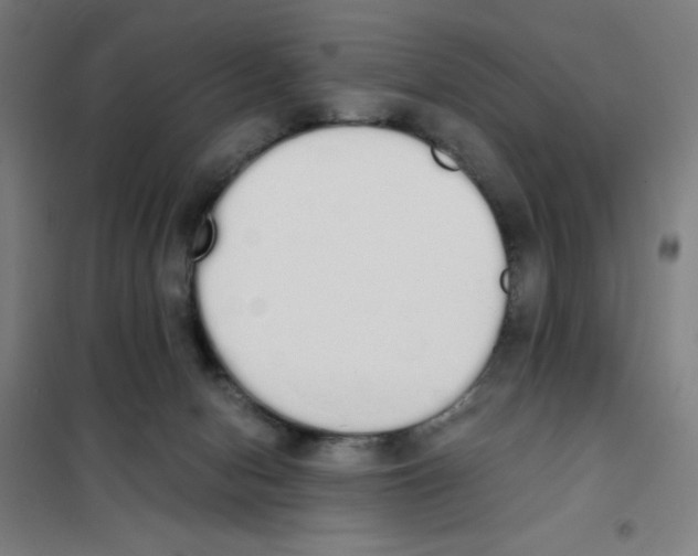 X0000101390078200808041027
