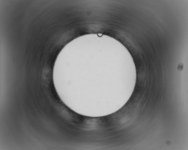 X0000101390079200808041027