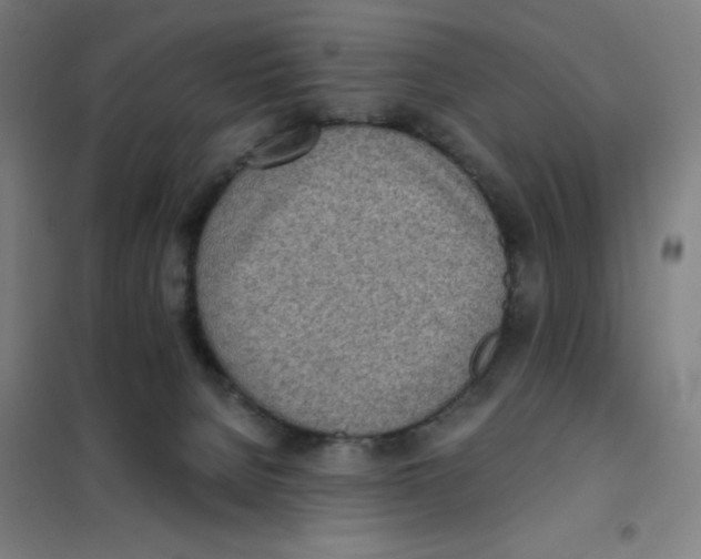 X0000101390080200808041027