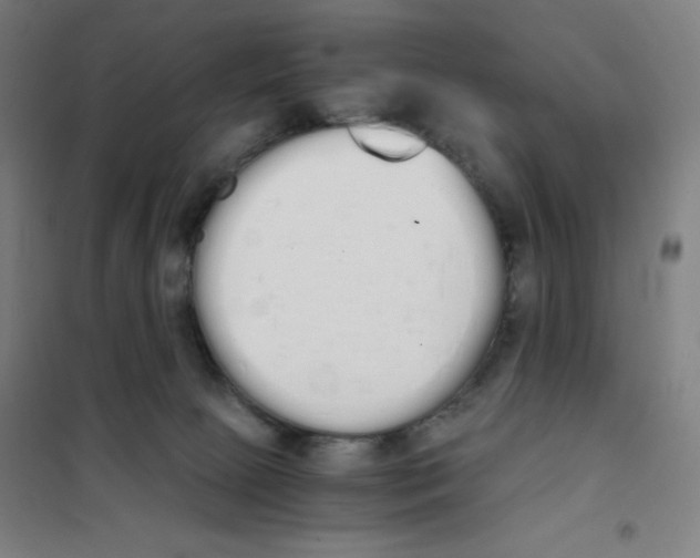 X0000101390081200808041027