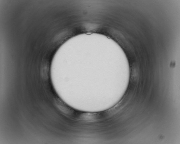 X0000101390082200808041027