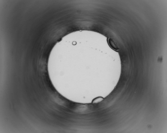 X0000101390083200808041027