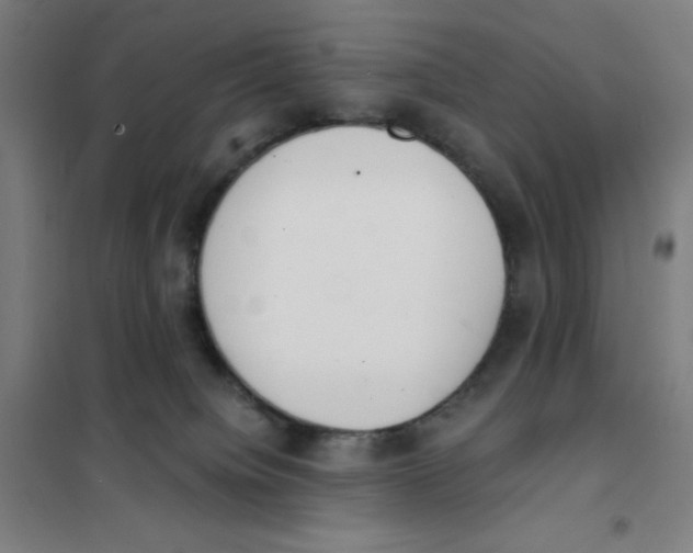 X0000101390084200808041027