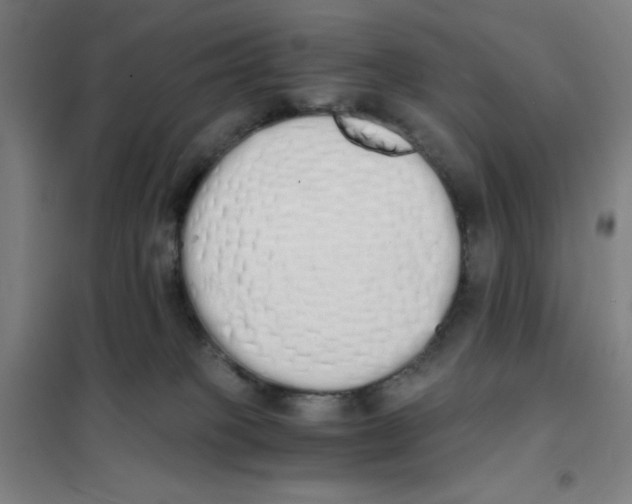 X0000101390085200808041027
