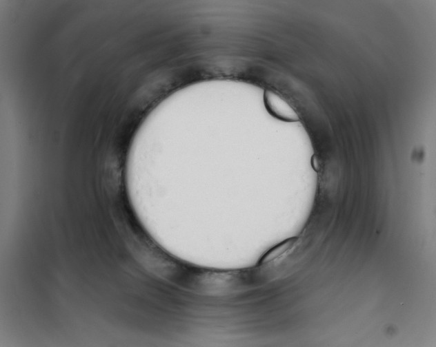 X0000101390086200808041027
