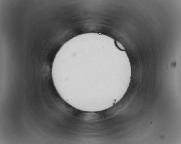 X0000101390087200808041027